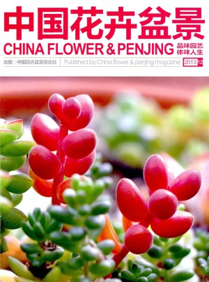 中国花卉盆景杂志订阅